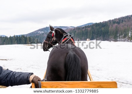 Picture from a horse carriage, horse view from behind, in the background, snow and mountains.

