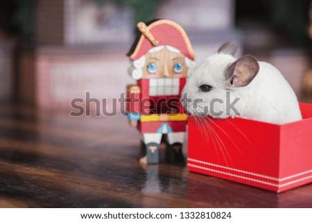 Happy Chinese New Year 2020 year of rat. Portrait of cute white chinchilla on the background of the Christmas tree in the lights, symbol of new year