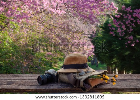tourism concept picture of hat, book, camera and sun glasses on wooden table with pink blooming sakura on tree at background. 