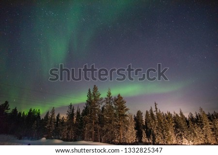 Aurora Borealis bright green on top of tree  