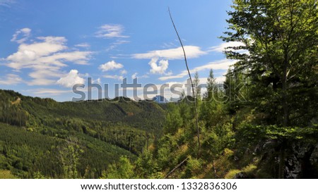 A walk in nature during a sunny day. Location: Europe, Austria, photo taken from Vorderer Signalkogel mountain