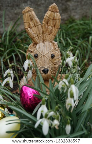 Straw Figure Bunny With Colorful Easter Eggs And European Plant Snowdrop. Easter And Spring Background.