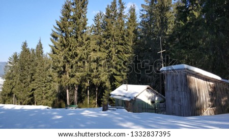 Small wood cabins near trees