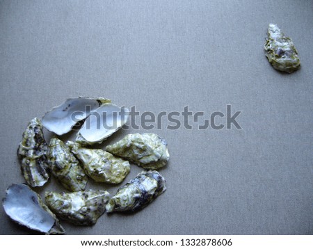 Oyster shells on a gray background.