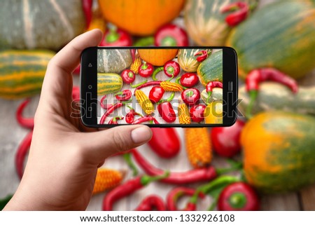 Men hands  takes photography of food on table with phone. Fresh vegetables pumpkin, pepper and corn on a wooden background. Smartphone photo for post on social networks.