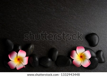 Zen stones and Frangipani flowers on dark background. Wellness or health concept. Flat lay or top view. 