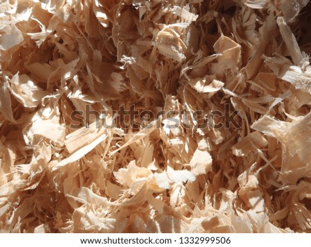 close up texture picture of wood shavings