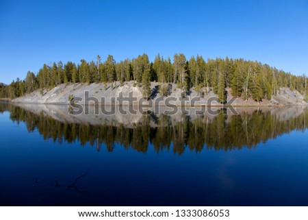 Pines reflect in the water, Yellowstone National Park, Wyoming, Idaho, Montana, USA.