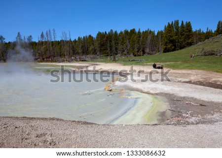Mud Volcano, Yellowstone National Park, Idaho, Montana and Wyoming, USA.