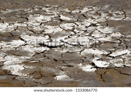 Details of mud cracketated, Mud Volcano, Yellowstone National Park, Idaho, Montana and Wyoming, USA.