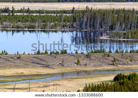 Yellowstone National Park, Idaho, Montana and Wyoming, USA.