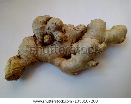 Fresh ginger root Large Piece