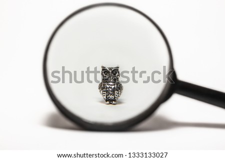 owl figure under magnifier