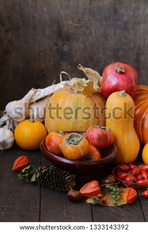 autumn still life with pumpkins and berries