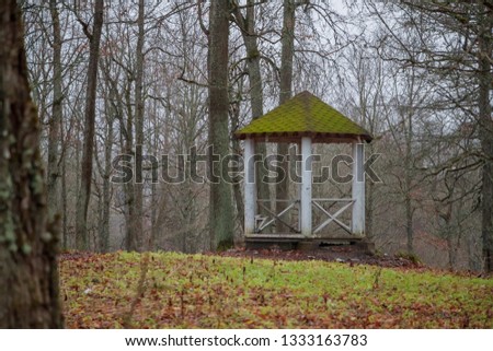 gazebo in the forest in the autumn season