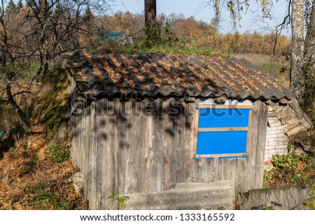 old wooden shed in the forest in the daytime