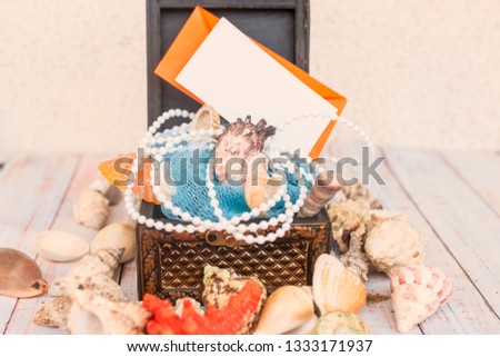 Concept of the summer time with sea shells 