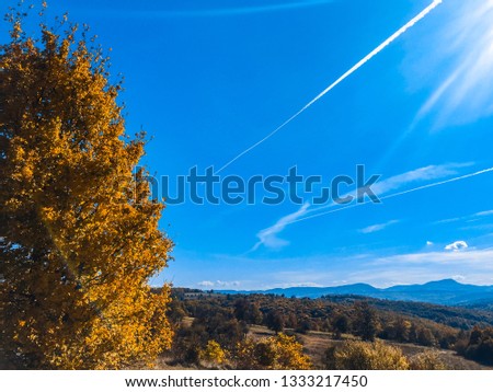 Autumn Tree in Republic of Srpska
