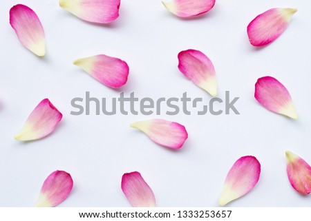 Lotus petals on white background.
