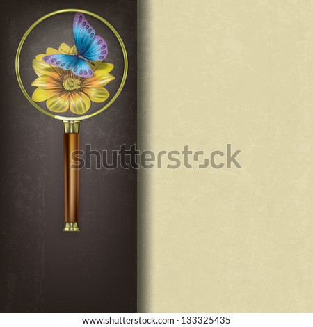 abstract background with magnifying glass and butterfly on flower