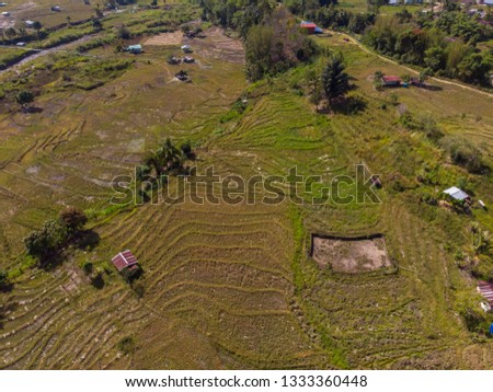 Aerial Of Rice Fields In Dry Season With Drought with beautiful rural landscape view in Tambunan, Sabah, Borneo