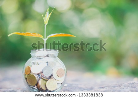 Growing plant in mix coins and seed in piggy bank, Pension fund, 401K, Passive income, Investment and retirement concept. savings and making money, Risk management.