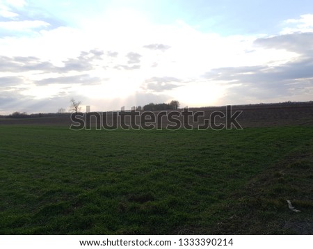 Green grass on the field on the cloudy sky background  Royalty-Free Stock Photo #1333390214