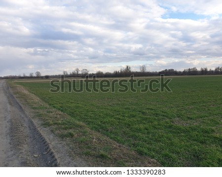 Green grass on the field on the cloudy sky background  Royalty-Free Stock Photo #1333390283