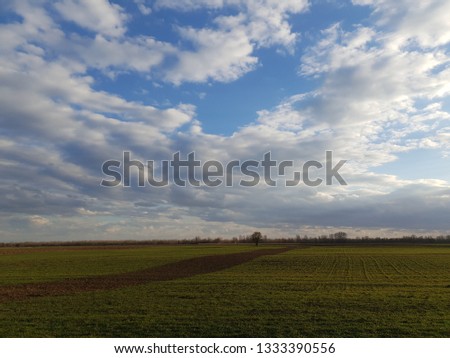 Green grass on the field on the cloudy sky background  Royalty-Free Stock Photo #1333390556