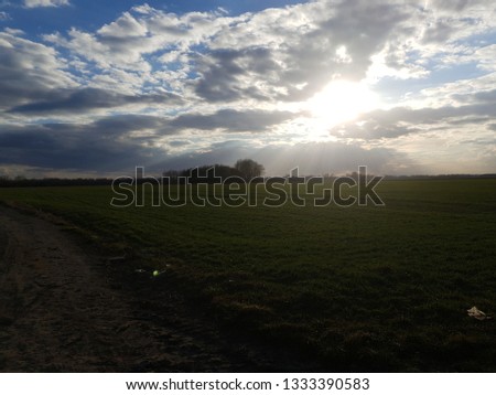 Green grass on the field on the cloudy sky background  Royalty-Free Stock Photo #1333390583