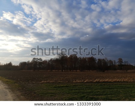 Green grass with small forest on the cloudy sky background  Royalty-Free Stock Photo #1333391000