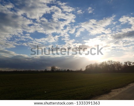 Field on the cloudy sky background, brightly sunshine  Royalty-Free Stock Photo #1333391363