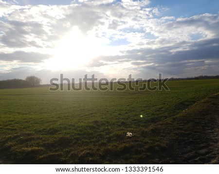Green grass on the field on the cloudy sky background, brightly sunshine  Royalty-Free Stock Photo #1333391546