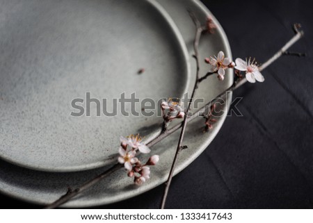 Spring floral concept with blooming cherry tree branches and serving with rustic tablewares on concrete table