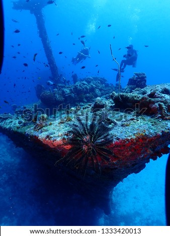 Scuba diving in PNG . Best dive sites in Rabaul . Wreck diving in Rabaul Royalty-Free Stock Photo #1333420013