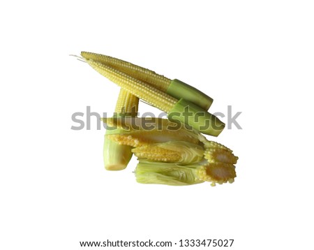 Baby corn pods are vegetables isolated on white background