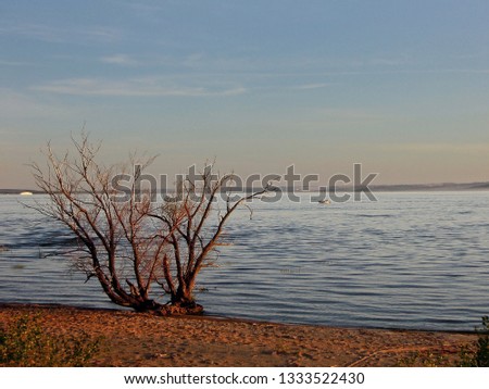 Evening view on coastal vegetation of Volga bank in middle Povolzhye. Picture taken on peninsula Locomotive, near Kazan, Russia