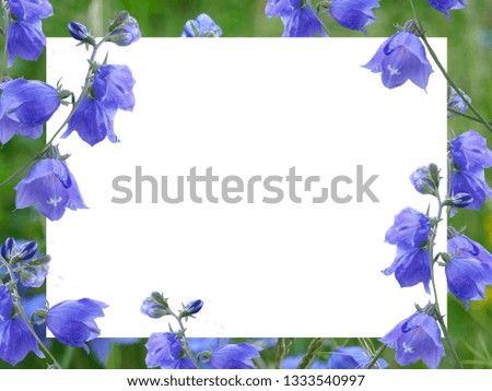 Blue flowers on a background of white sheet for an inscription.