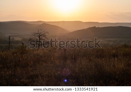 sunset in the mountains, in the foreground spruce and several tree trunks, burned in a long fire