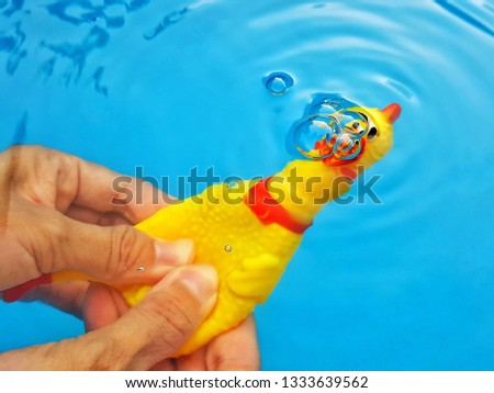 Hand holding rubber toy yellow shriek chicken on blue background. Squeaky Chicken toy on the pool. Travel holiday, funny business banner concept.