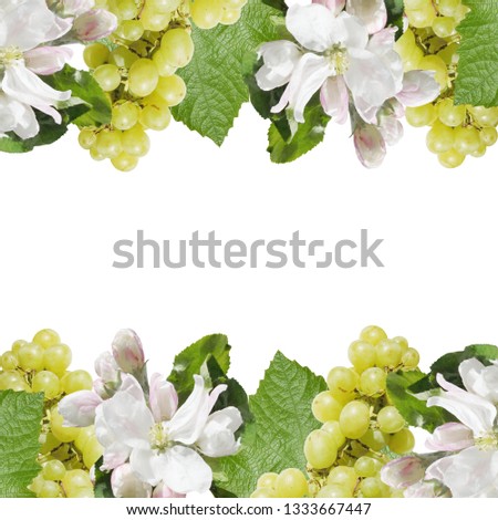 Beautiful floral background of green grapes and Apple blossom 