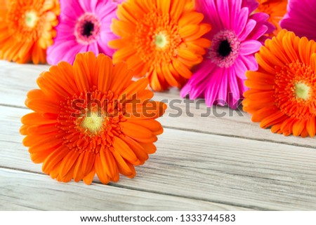 Bouquet of Gerbera flowers against wooden background