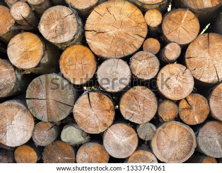 Stack of firewood. Woodpile. Wood logs. Wood for the winter. Firewood background. 