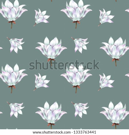 Drawing of tulips by color pencils , green background, white flowers