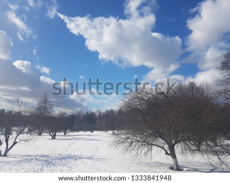 Winter landscape, trees in the snow against the blue sky in the clouds.