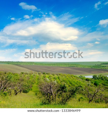 Orchard, agricultural land and blue cloudy sky. Agricultural landscape.