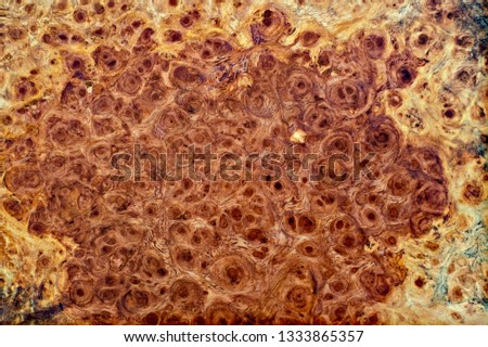 Nature afzelia burl wood striped for Picture prints interior decoration, Exotic wooden beautiful pattern for crafts or abstract art texture background