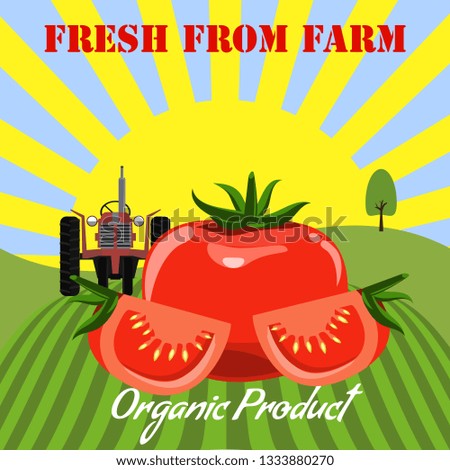 Tomato mockup in farm landscape background. Label design for tomato products. Flat color style vector illustration.