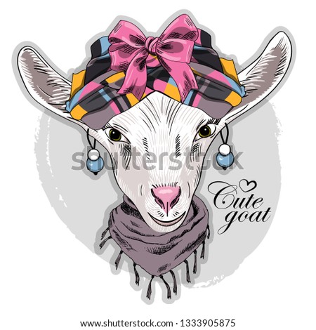 Pretty white goat with checkered turban, earrings and scarf. Hand drawn illustration of dressed goat. Vector illustration.