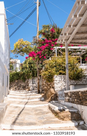 Summer alley in Apollonia, the capital of Sifnos. Cyclades, Greece